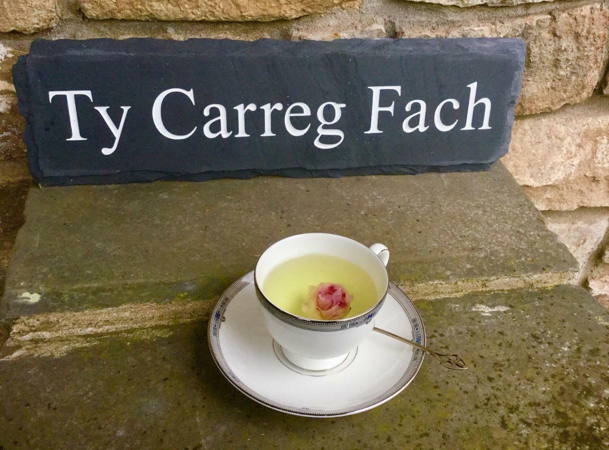 Ty Carreg Fach Staycation Cottage คาร์ดิฟฟ์ ภายนอก รูปภาพ