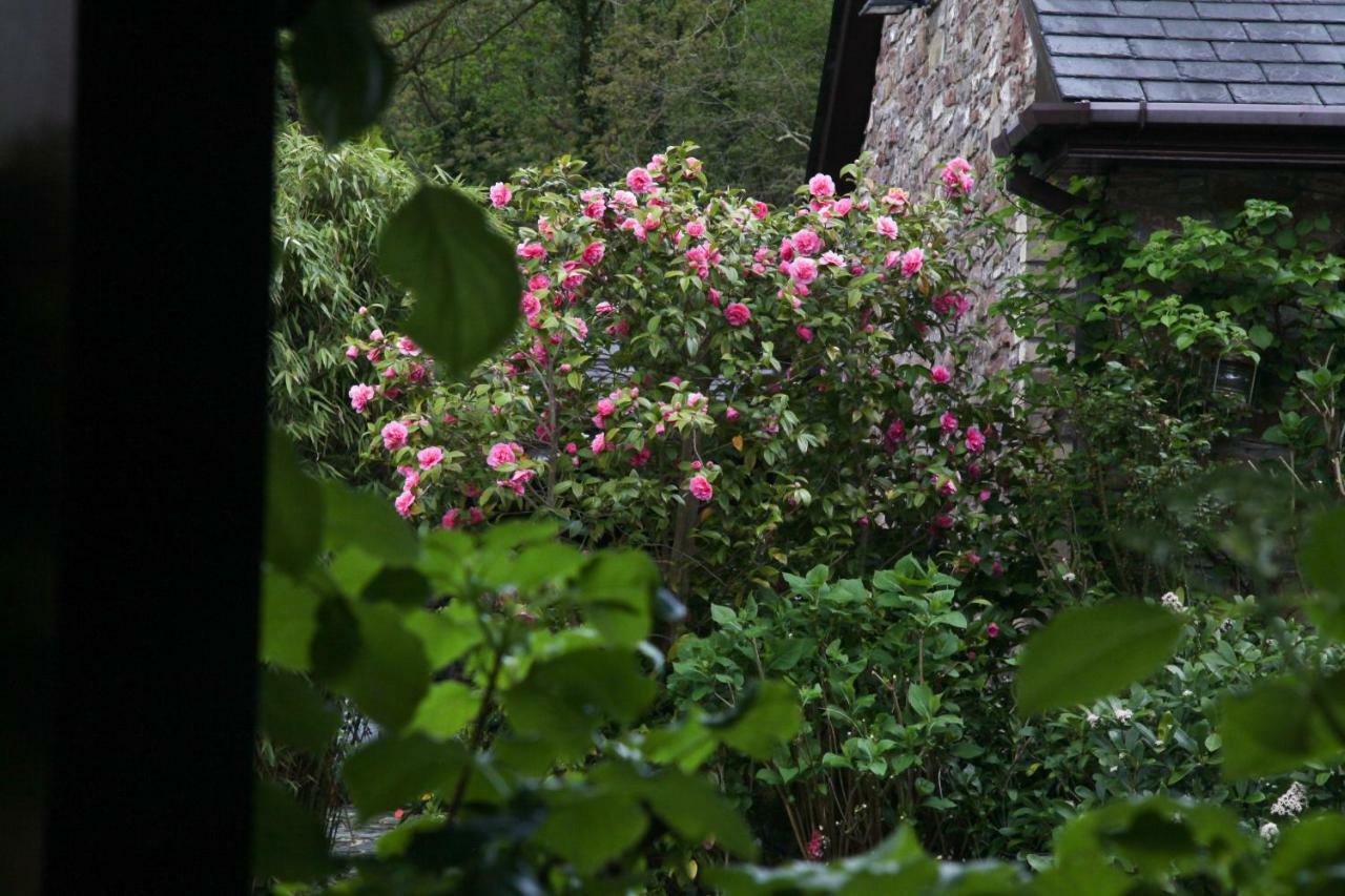 Ty Carreg Fach Staycation Cottage คาร์ดิฟฟ์ ภายนอก รูปภาพ